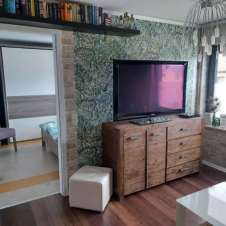 Im Erzgebirge Wandern, Fahrrad Fahren Oder Entspannen Apartment *