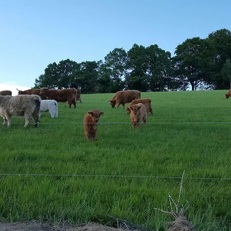 Apartment Im Erzgebirge Wandern, Fahrrad Fahren Oder Entspannen *