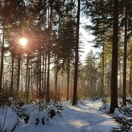 Im Erzgebirge Wandern, Fahrrad Fahren Oder Entspannen *