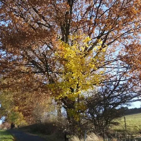 Im Erzgebirge Wandern, Fahrrad Fahren Oder Entspannen * Ehrenfriedersdorf