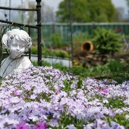 Apartment Im Erzgebirge Wandern, Fahrrad Fahren Oder Entspannen Ehrenfriedersdorf
