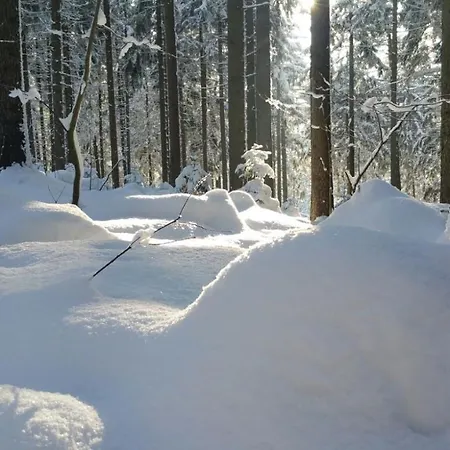 Apartment Im Erzgebirge Wandern, Fahrrad Fahren Oder Entspannen Ehrenfriedersdorf
