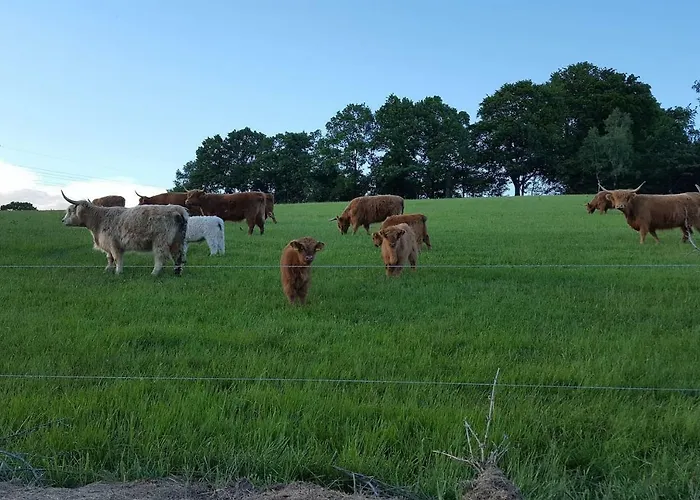 Апартаменты Im Erzgebirge Wandern, Fahrrad Fahren Oder Entspannen *