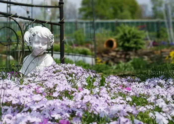Апартаменты Im Erzgebirge Wandern, Fahrrad Fahren Oder Entspannen Ehrenfriedersdorf