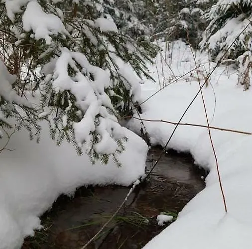 Апартаменты Im Erzgebirge Wandern, Fahrrad Fahren Oder Entspannen *