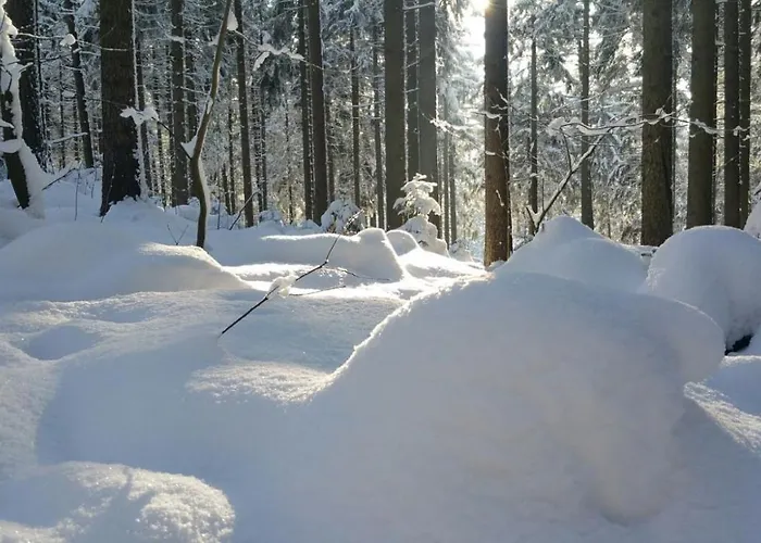Апартаменты Im Erzgebirge Wandern, Fahrrad Fahren Oder Entspannen Ehrenfriedersdorf